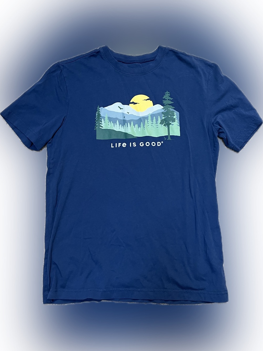 Life Is Good Navy Short Sleeve Graphic Tee with Sunrise Mountain Men’s Size S
